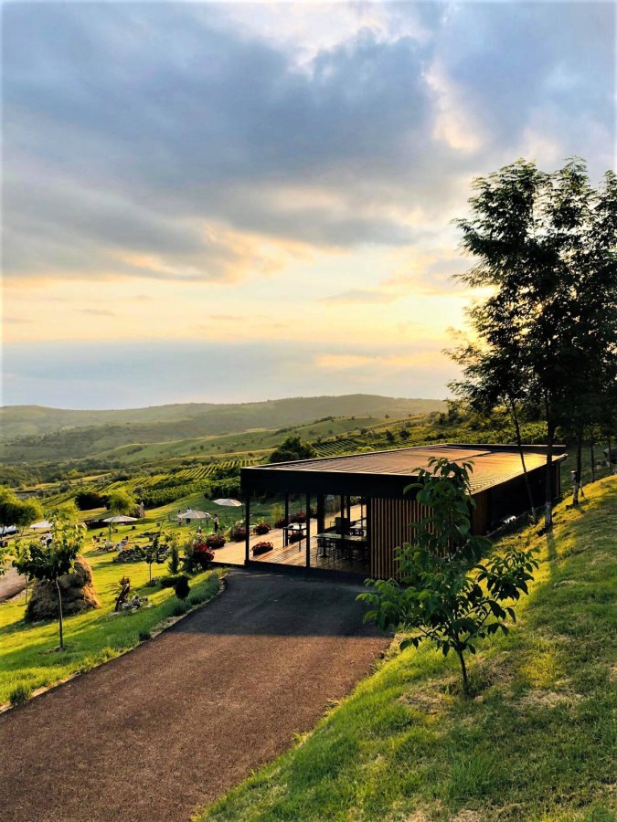 Velvet Winery